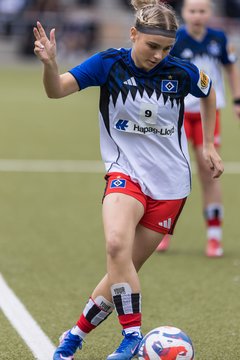 Bild 54 - wBJ Hamburger SV - FC Suederelbe : Ergebnis: 9:0